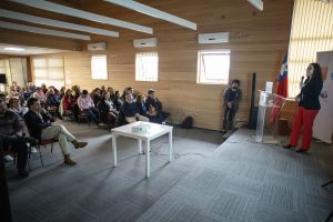 Hospitales de Frutillar y Llanquihue destacan avances