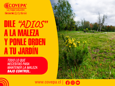 bannercovepa-noviembre