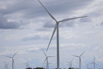 Alcalde de Frutillar se manifiesta contrario a nuevo parque eólico