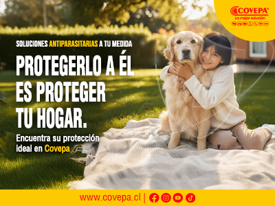 bannerfrutillarenero