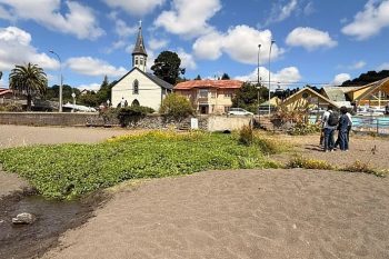 Frutillar tendrá el primer humedal depurador del lago Llanquihue