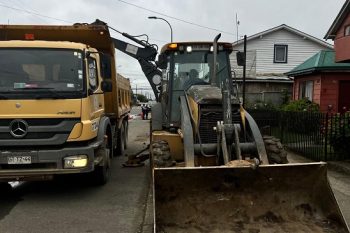 Continúan los trabajos de recuperación de áreas verdes en Frutillar