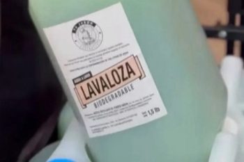 Productos ecológicos en municipio para reducir residuos en Frutillar