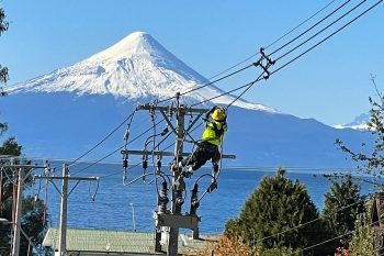 Saesa refuerza red eléctrica en Frutillar con trabajos de mantenimiento