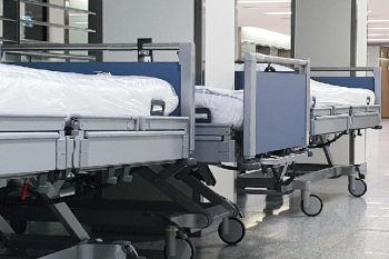 Instruyen sumario sanitario a Hospital de Frutillar por presencia de roedores