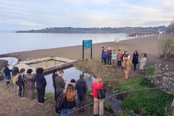 Frutillar inaugura el primer humedal depurador de la cuenca del Lago Llanquihue