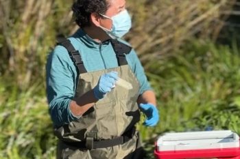 Municipio de Frutillar solicita muestreo por presunto vertimiento ilegal en estero