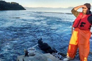 Frutillar abandona mesa por salida de salmoneras del lago Llanquihue