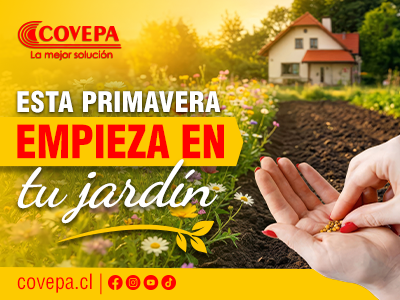 bannerseptiembre