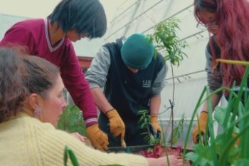 Patio Vivo en Frutillar: La innovadora educación sustentable en Los Lagos
